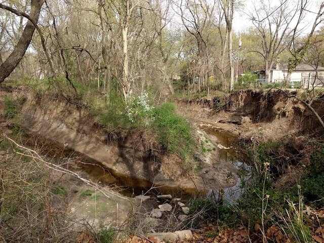 Crane Park - Image 1