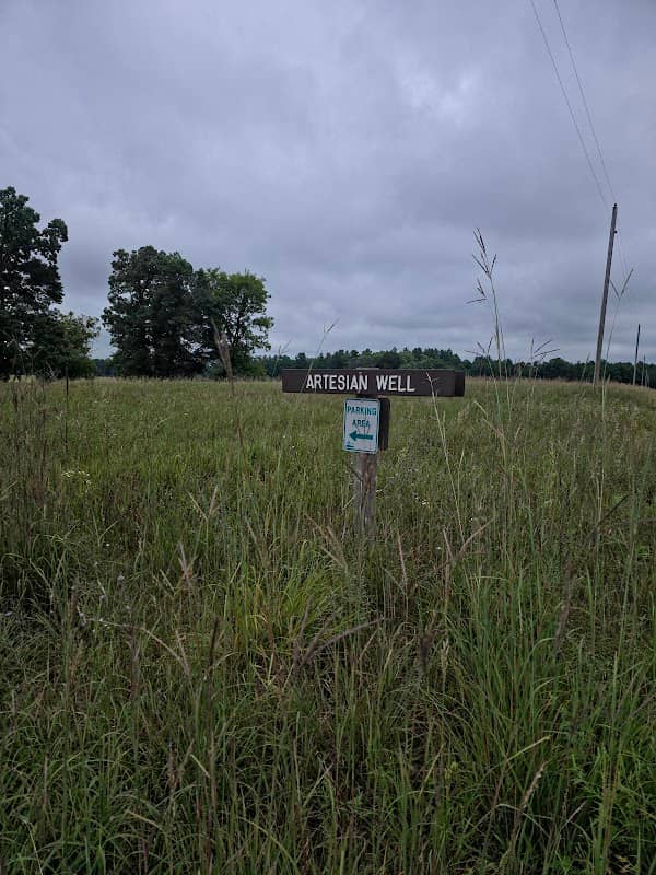 Artesian Well - Image 2