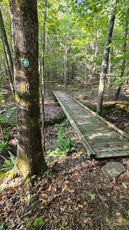 Ledge Creek Forest Conservation Area - Trailhead #2 - Image 1