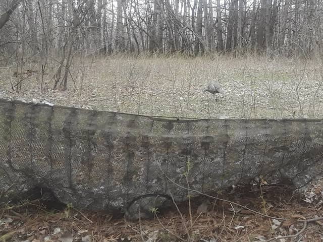 Janet Johnson Memorial Wildlife Management Area - Main Unit - Image 2