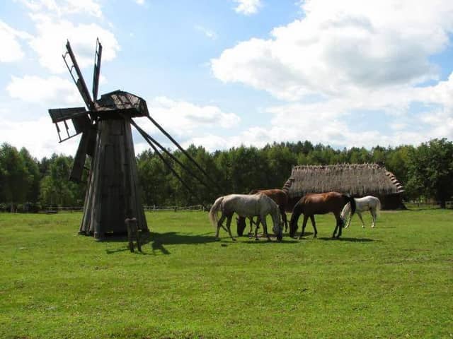 Podlasie Museum of Folk Culture - Image 2