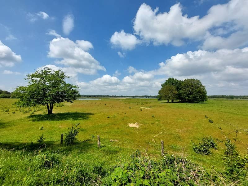 Uitzichtpunt De Borkeld - Image 1
