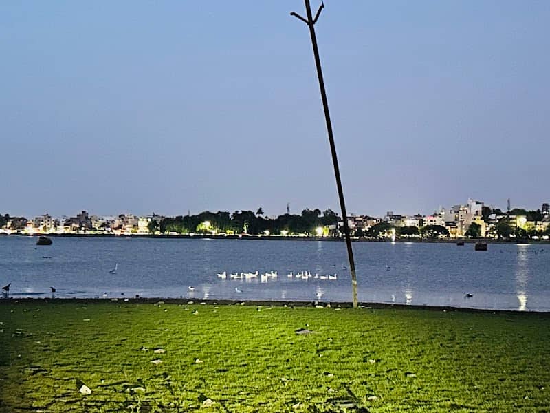 Bird Point - Image 2
