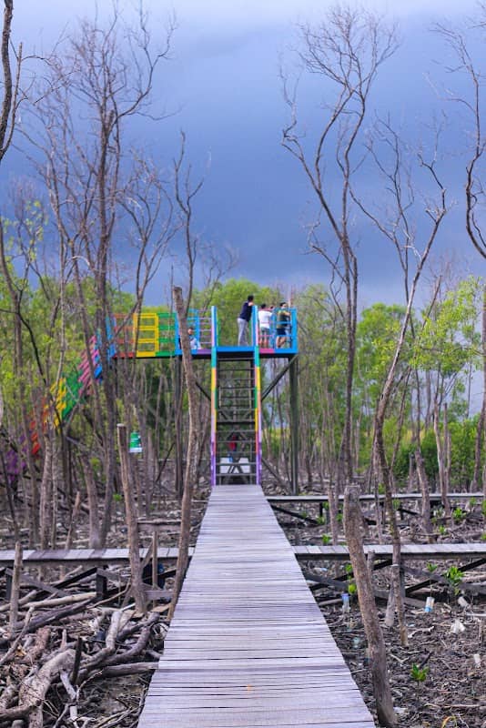 Wisata Mangrove Kuala - Image 2
