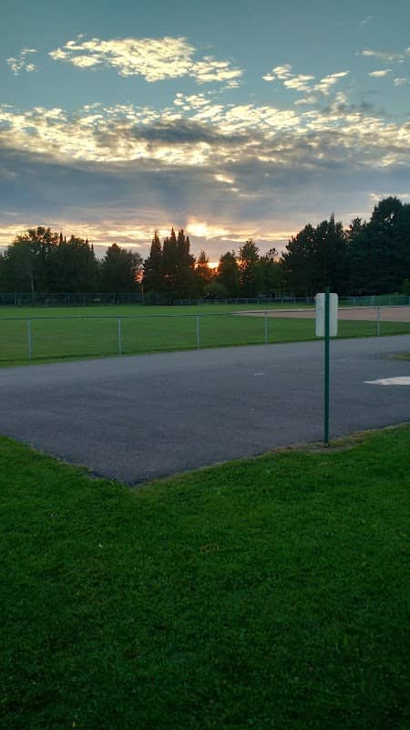 Whittlesey Lion's Ballpark - Image 1