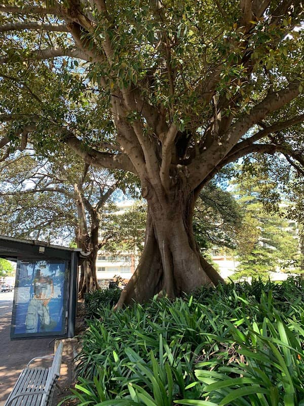 Gilbert Park - Image 2