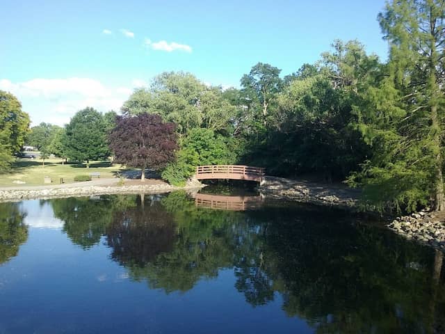 Clague Park - Image 1