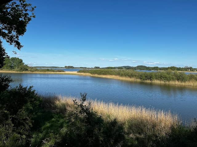 Binsenbrink im Teterower See - Image 1