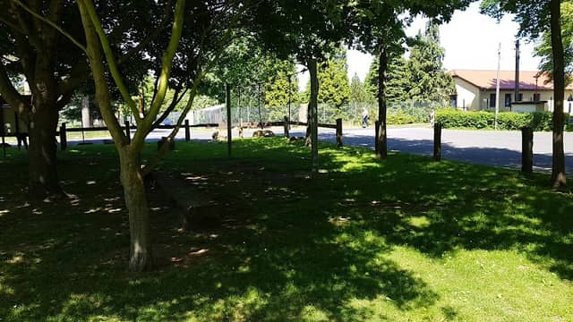 Niederseilpark Laußnitz - Image 1