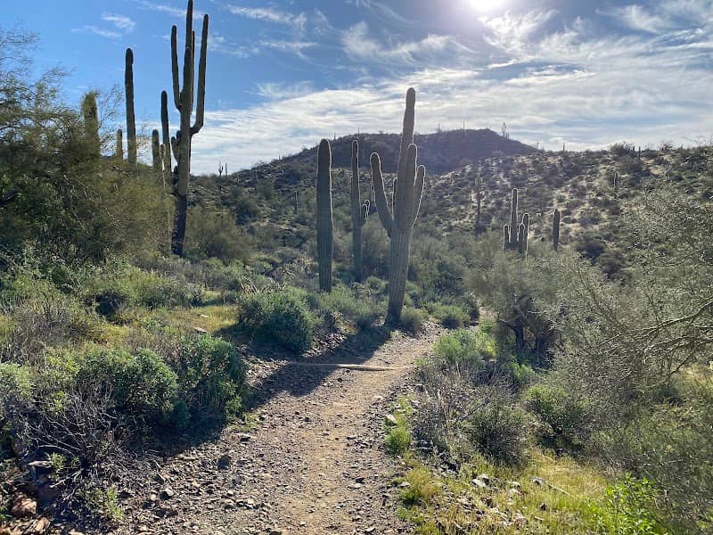 Cave Creek Regional Park - Image 3