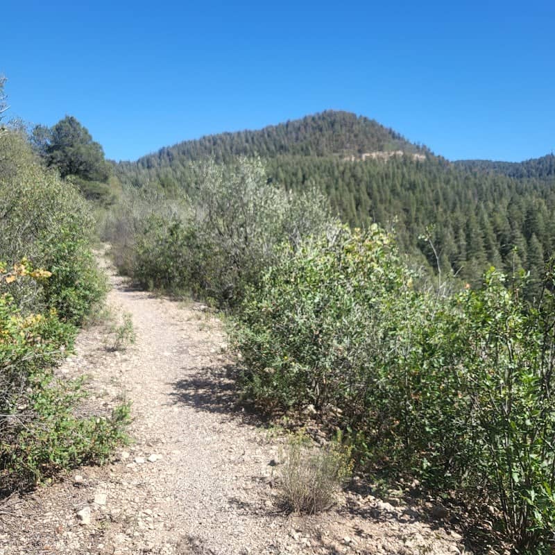 Switchback Trail - Image 2