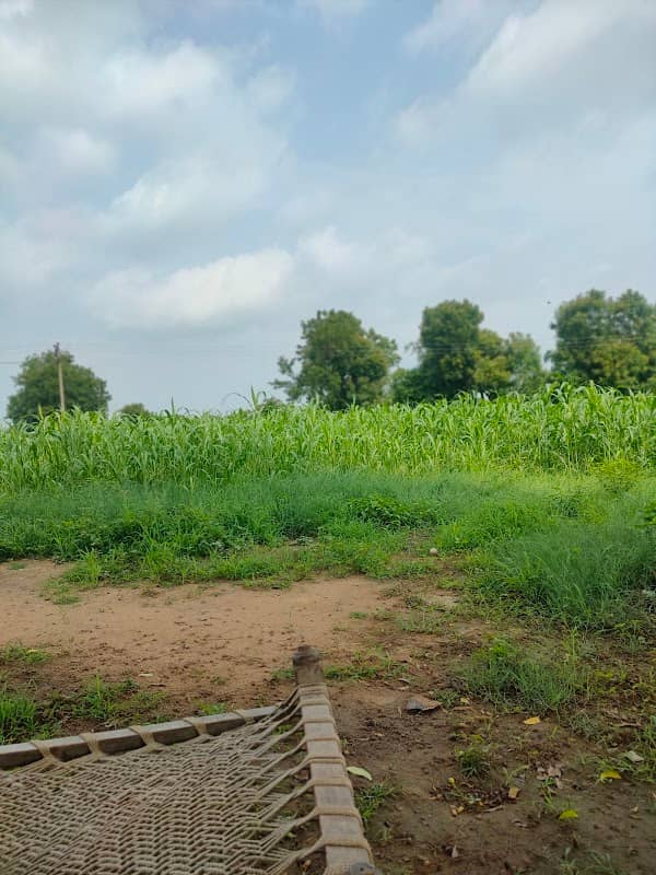 Punjaji Chavda farm - Image 1