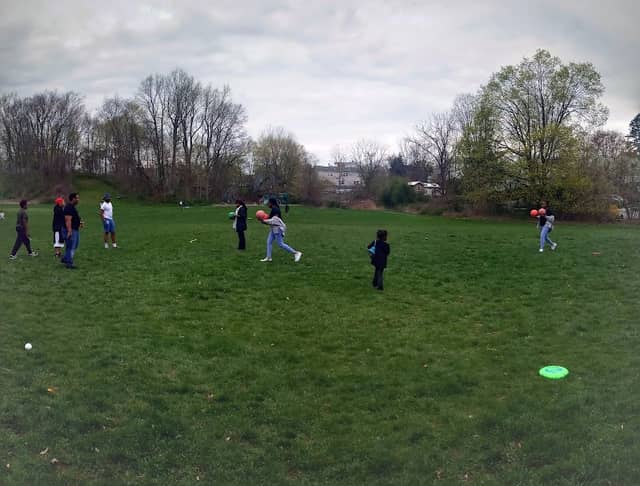 Flax Hill Park - Image 2