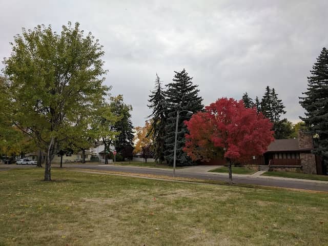 Roosevelt Park - Image 1
