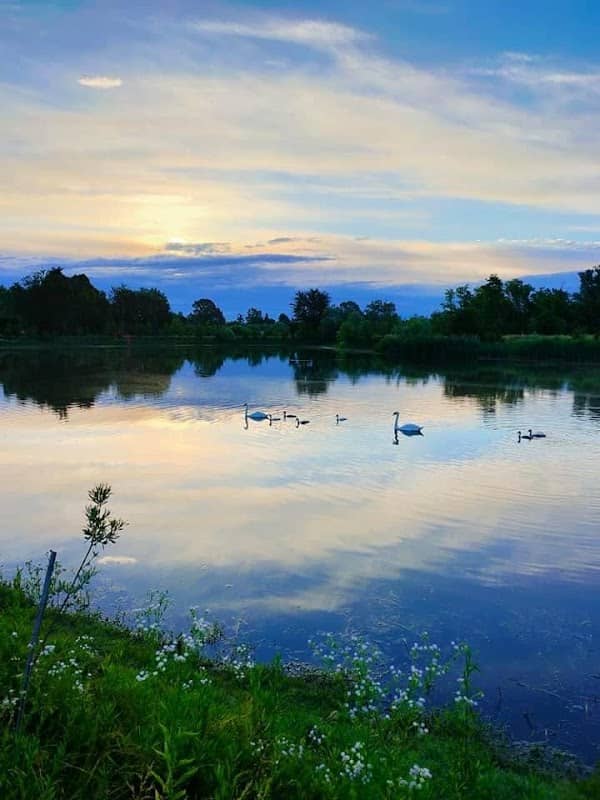Parco Della Dote - Image 1
