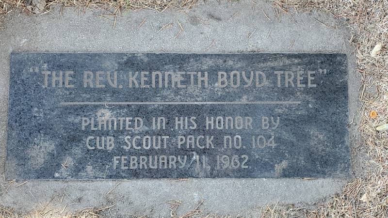 The Rev.Kenneth Boyd Tree - Image 1