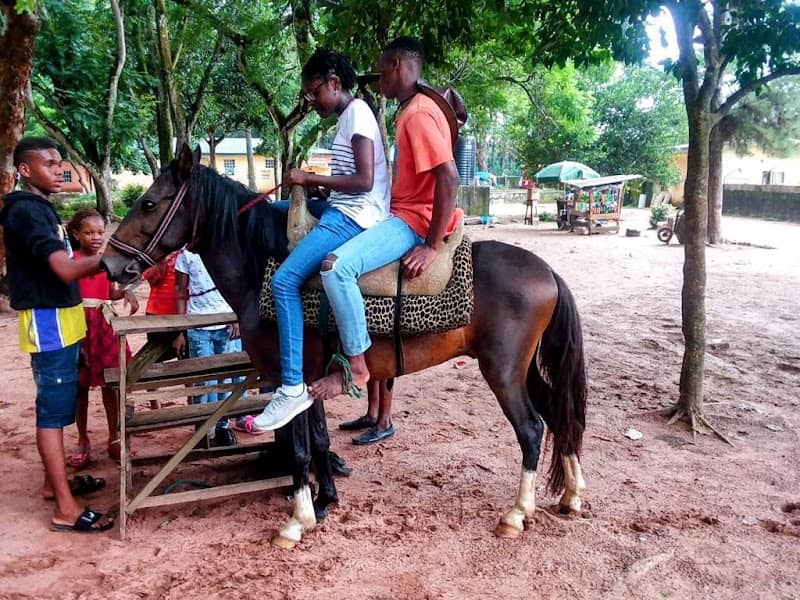 Nekede Zoological Garden - Image 1