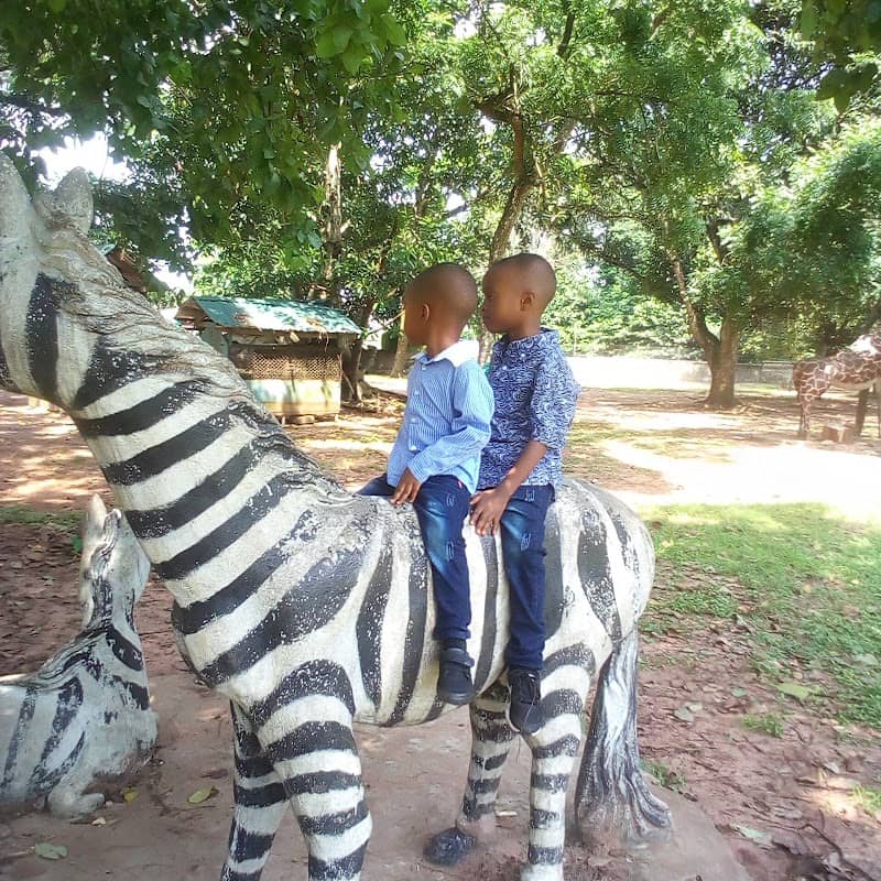 Nekede Zoological Garden - Image 2