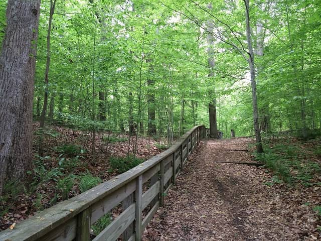 Lee's Mill Historic Park - Image 2