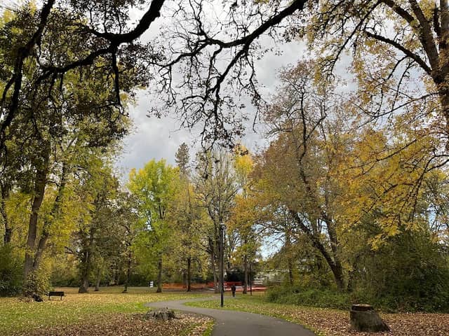 Woodard Park - Image 1