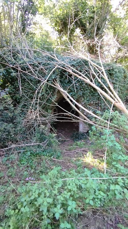 Rovine medievali - Image 2