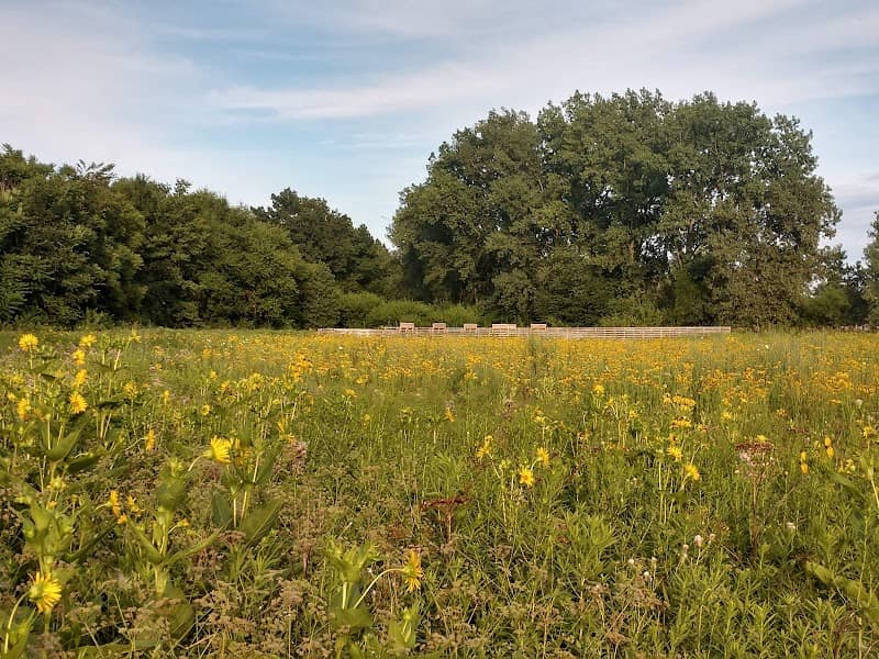Prairie Edge Nature Park - Image 1
