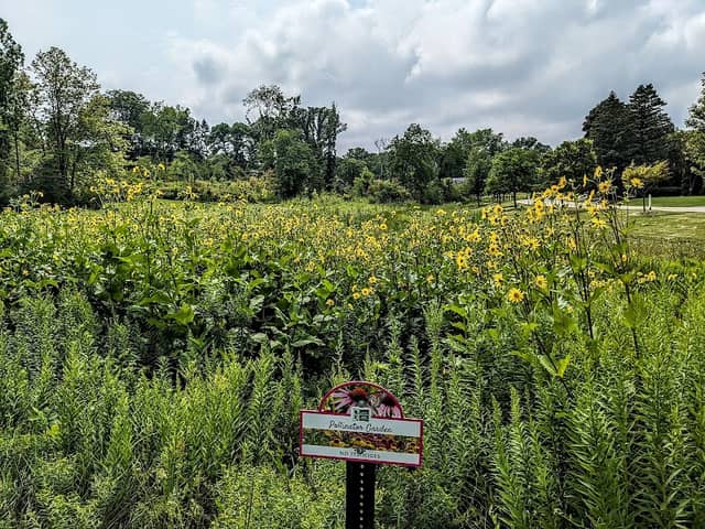 Indian Creek Woods - Image 2