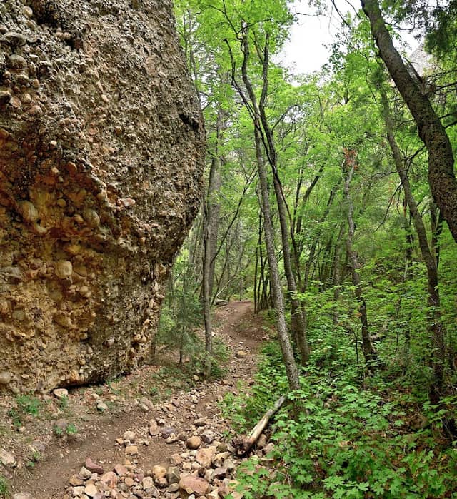 Left Fork & Middle Fork Trailheads - Image 1