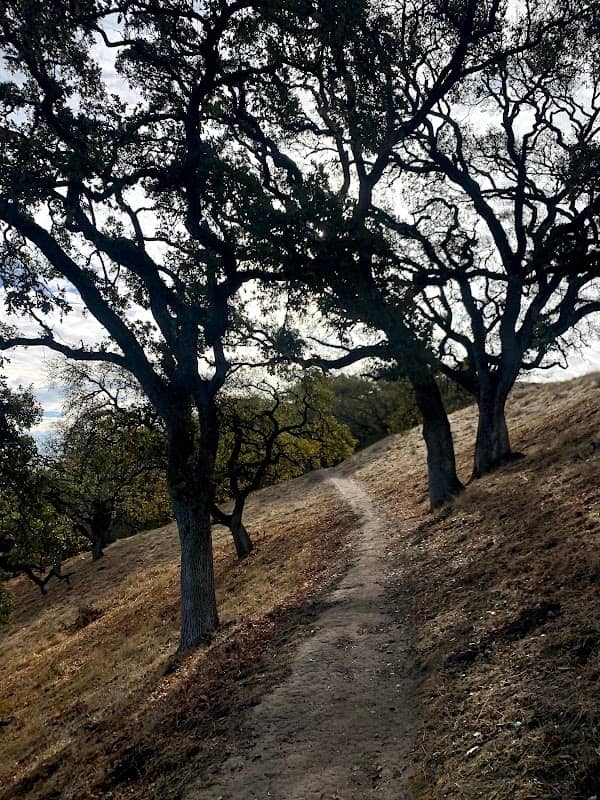 Acalanes Ridge - Image 2