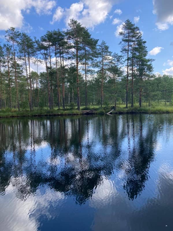 Pushkino Park - Image 1