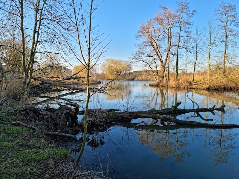 Heemtuin - Image 1