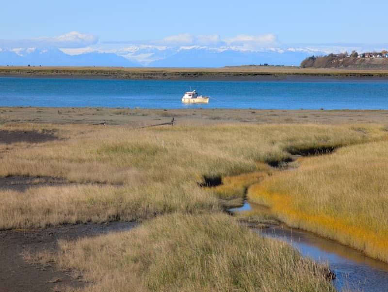 Kenai River Viewing Platform - Image 1