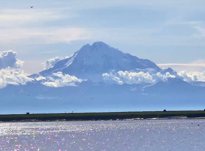 Kenai River Viewing Platform - Image 2