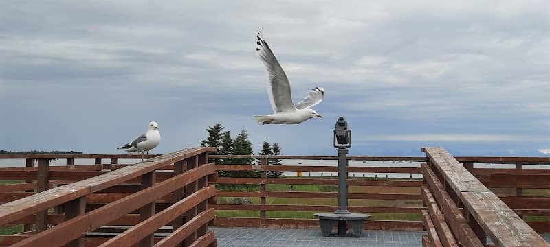 Kenai River Viewing Platform - Image 3