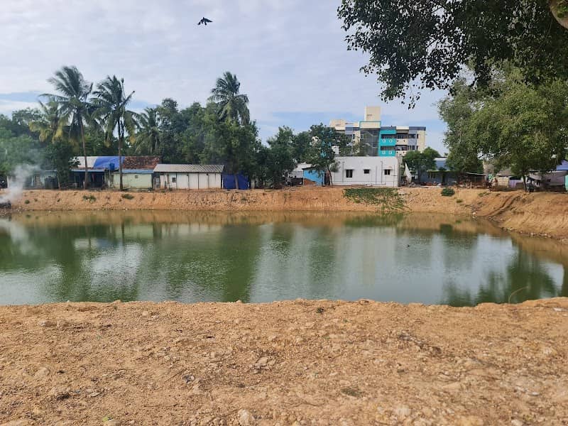 Sengamala Nachi Amman Temple Pond - Image 1