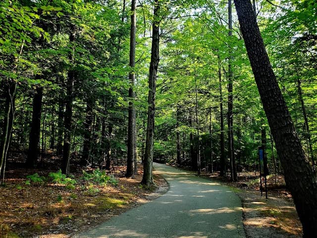 Cartier Park - Image 2