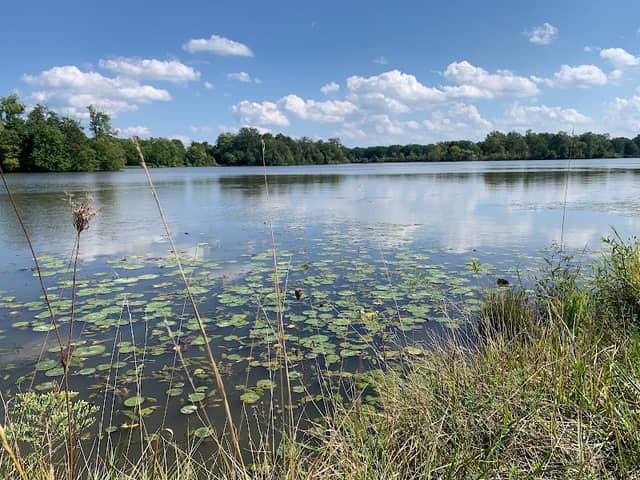 Thread Lake Park - Image 1