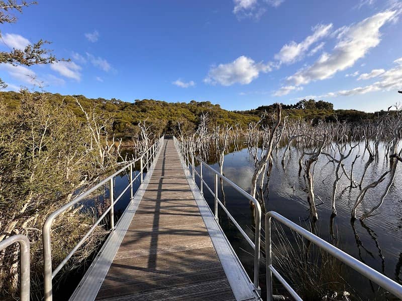 Skeleton Swamp - Image 1
