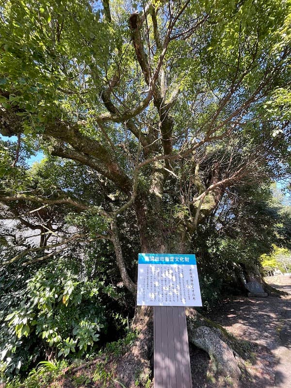 平群天神社のくすの木 - Image 1