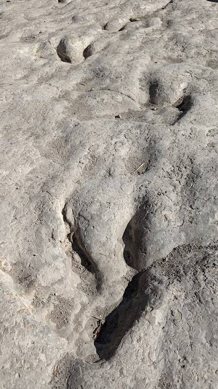 Dinosaur Tracks - Texas State Historical Marker - Image 1