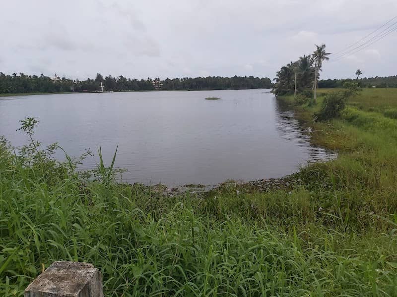 Chemmanda Padam (ചെമ്മണ്ട പാടം) - Image 1