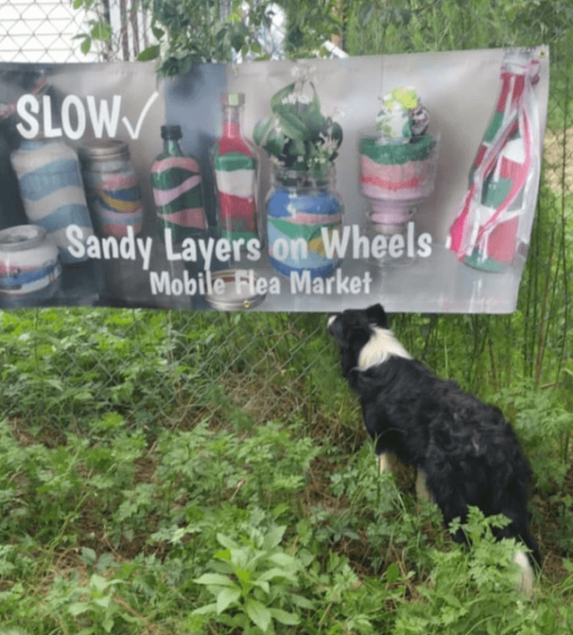 SLOW Sandy Layers on Wheels - Image 1