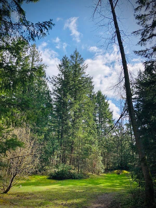 Manorwood Park - Image 1