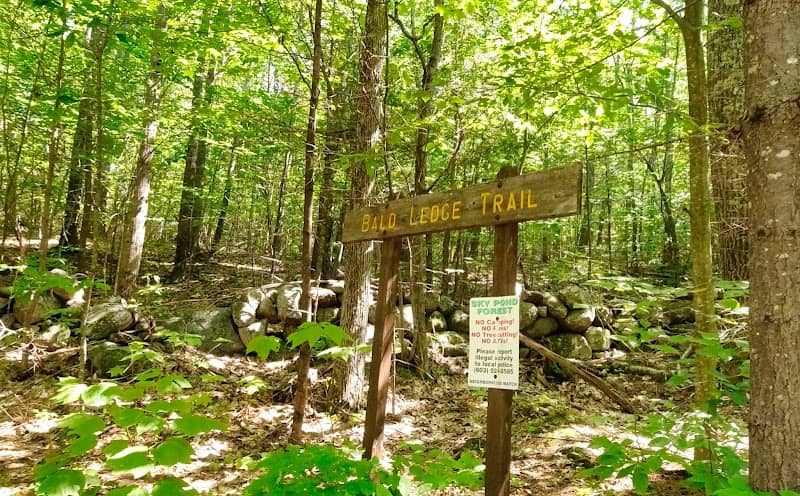 Bald Ledge Scenic Vista Trailhead - Image 1