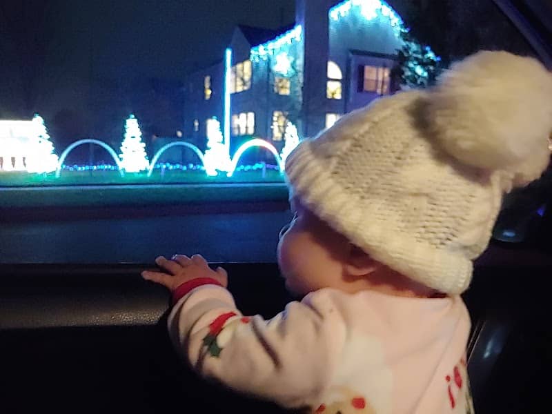 The Tarkowski Family Light Show - Image 2