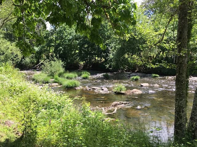 Dallas City Park - Image 2