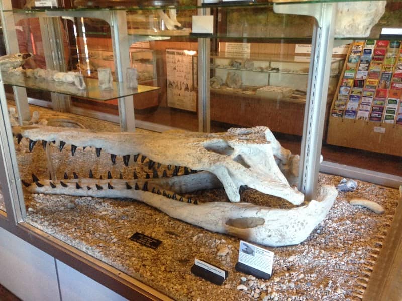 Mulberry Phosphate Museum - Image 1