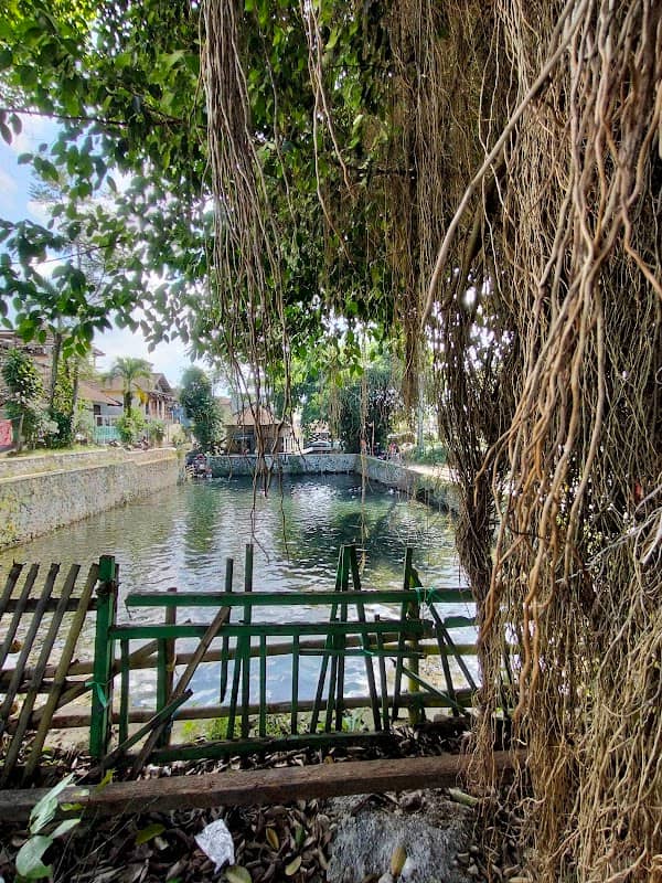 Sungai Benoyo Ngentak - Image 2