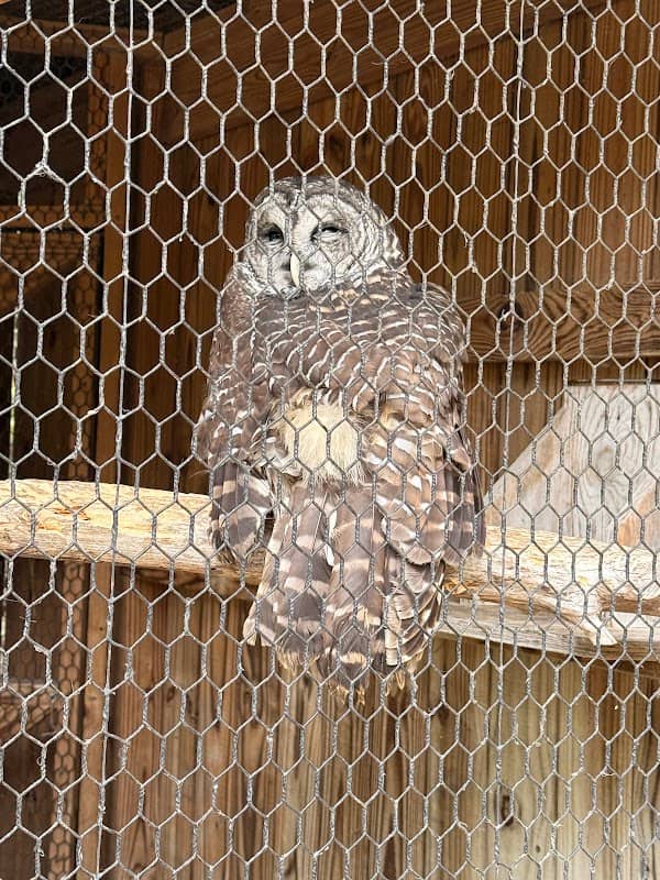 Owl's Hill Nature Sanctuary - Image 3