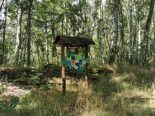 Naturerlebnis Pfad - Image 1